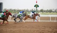 شروط وخطوات التقديم.. 34 وظيفة شاغرة بنادي سباقات الخيل
