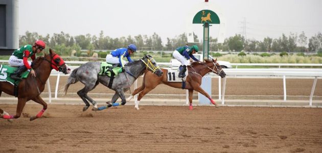 الرياض | 34 وظيفة شاغرة بنادي سباقات الخيل والتقديم من هنا