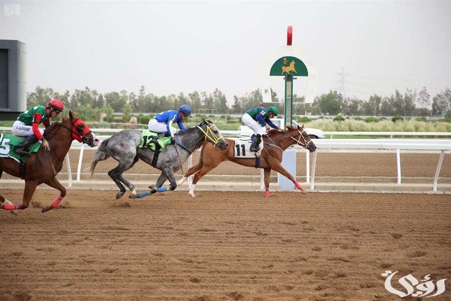 الرياض | 34 وظيفة شاغرة بنادي سباقات الخيل والتقديم من هنا