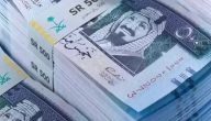 “الموارد البشرية” تجيب الأمر.. كيف أعرف موعد صرف المساعدة المقطوعة؟