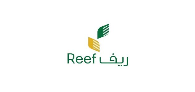 استعلم الآن | صرف دعم ريف لدفعة قبل نهاية عام 2024 بهذا الموعد.. الوزارة تعلن