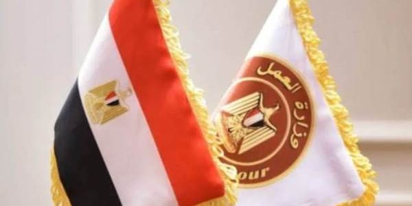 فرص عمل للشباب في الخارج براتب 9000 ريال سعودي تعلن عنها وزارة العمل المصرية