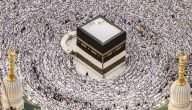 “البوابة المصرية”.. الاستعلام عن نتيجة قرعة الحج السياحي 2026 بالرقم القومي