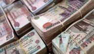 حقيقة رفع الحد الأدنى للأجور 2026.. هل يتم تطبيقه هذا الشهر؟ وزارة المالية تكشف التفاصيل وتُجيب على التساؤلات!