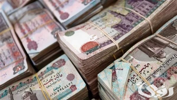 حقيقة رفع الحد الأدنى للأجور 2025 وهل يتم تطبيقه هذا الشهر؟.. “المالية” تُجيب