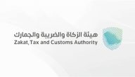 مفاجأة سارة! الدفع بالتقسيط يصبح متاحًا عبر هيئة الزكاة والضريبة