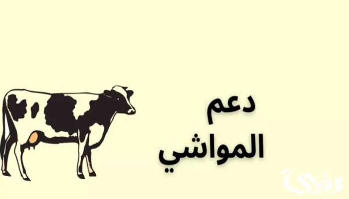 موعد صرف دعم المواشي لكل شهر وخطوات تقديم طلب الحصول عليه 4 موعد صرف دعم المواشي لكل شهر وطريقة تقديم طلب الحصول عليه
