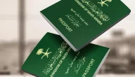 خدمة إلكترونية تسهل متابعة حالة التأشيرات في السعودية والاستعلام عن التأشيرة برقم الجواز