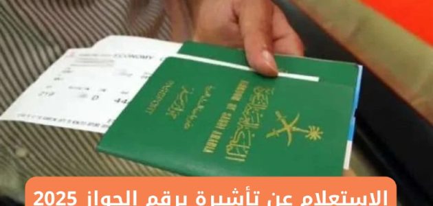 خطوات الاستعلام عن تأشيرة برقم الجواز 2025 من منصة التأشيرات السعودية الكترونياً visa.mofa.gov
