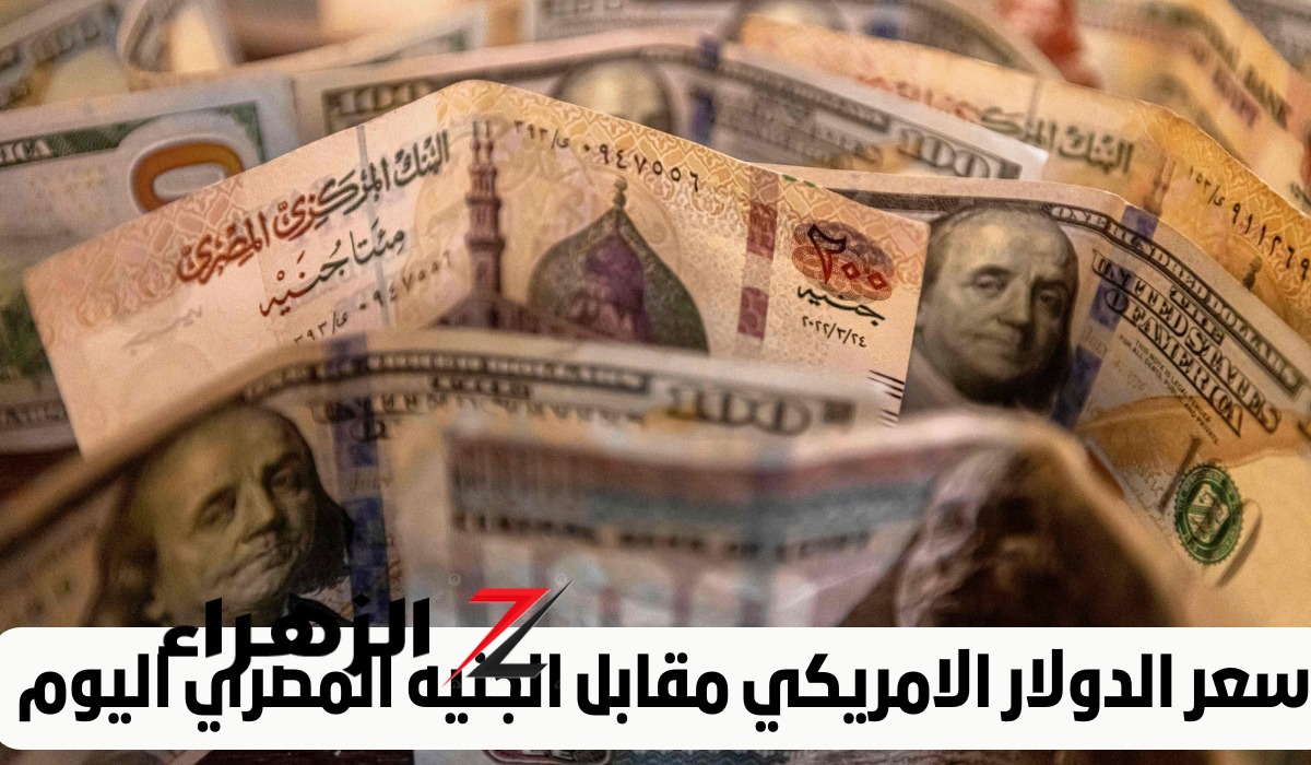 انخفاض تاريخي في سعر الدولار أمام الجنيه: تعرف على الأسعار الجديدة داخل البنوك! 4 انخفاض تاريخي في سعر الدولار أمام الجنيه: تعرف على الأسعار الجديدة داخل البنوك!