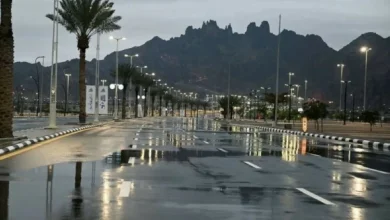 "عاجل: الأرصاد تحذر من أمطار غزيرة وتساقط للبرد في حائل - تفاصيل مثيرة"