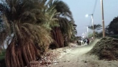 أهالي عزبة يوسف في بني سويف يطالبون بتحسين طريق الموت الذي يهدد حياتهم 3 أهالي عزبة يوسف في بني سويف يطالبون بتحسين طريق الموت الذي يهدد حياتهم