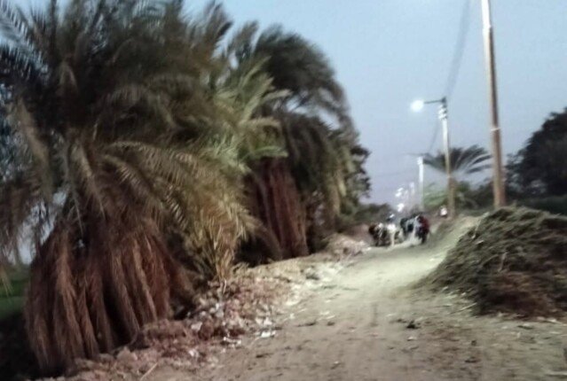 أهالي عزبة يوسف في بني سويف يطالبون بتحسين طريق الموت الذي يهدد حياتهم 1 أهالي عزبة يوسف في بني سويف يطالبون بتحسين طريق الموت الذي يهدد حياتهم