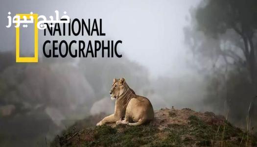اكتشف تردد قناة ناشيونال جيوغرافيك أبوظبي 2026: كل ما تحتاج معرفته لمتابعة أفضل البرامج!