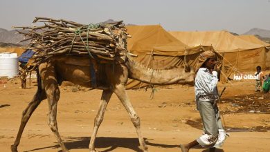 استكشاف جذور قبيلة الطهيمي: تاريخ وأصول مثيرة للاهتمام 7 استكشاف جذور قبيلة الطهيمي: تاريخ وأصول مثيرة للاهتمام