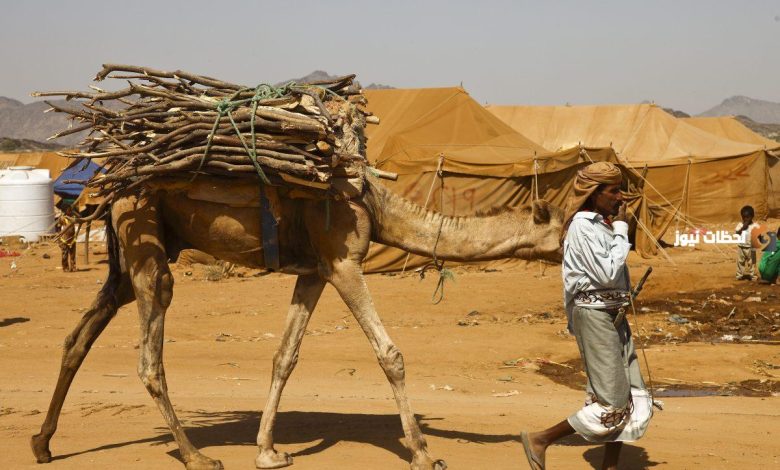 استكشاف جذور قبيلة الطهيمي: تاريخ وأصول مثيرة للاهتمام 1 استكشاف جذور قبيلة الطهيمي: تاريخ وأصول مثيرة للاهتمام