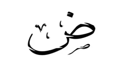 استكشف أسماء الدول التي تبدأ بحرف الضاد: معلومات شاملة حول كل دولة 7 استكشف أسماء الدول التي تبدأ بحرف الضاد: معلومات شاملة حول كل دولة