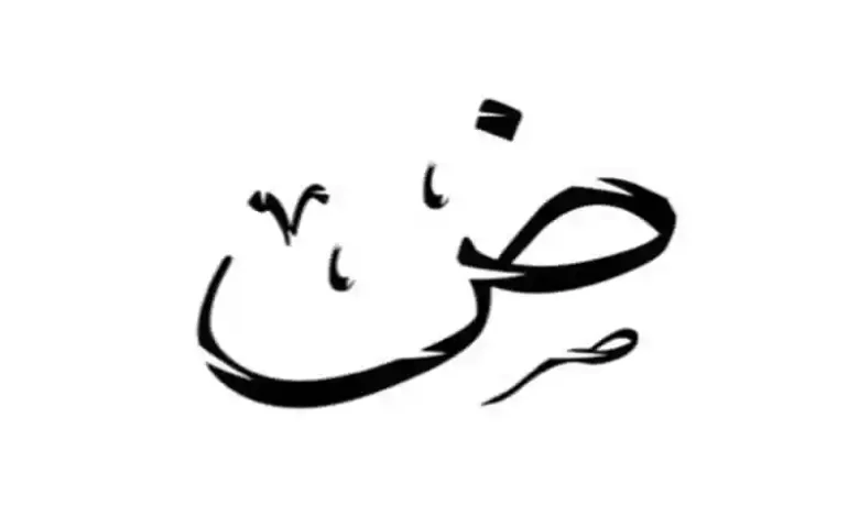 استكشف أسماء الدول التي تبدأ بحرف الضاد: معلومات شاملة حول كل دولة