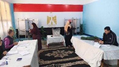 السيدات يبرز دورهن في جولة الإعادة بدائرة المنتزة بالإسكندرية amid تنافس محتدم