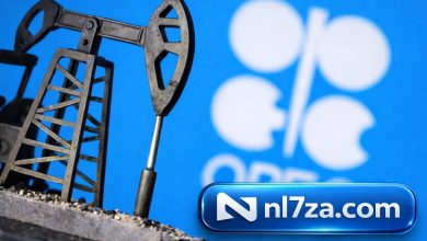 أوبك+ تدرس زيادة إنتاج النفط بمقدار 137 ألف برميل يومياً اعتباراً من أبريل