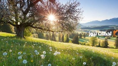 استكشف جمال فصل الربيع: عناصر تعبيرية تعكس روعة الطبيعة