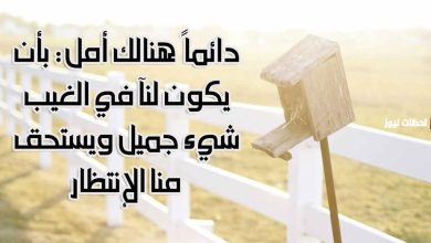 استلهم التفاؤل: 33 عبارة تعزز من إيجابية الحياة