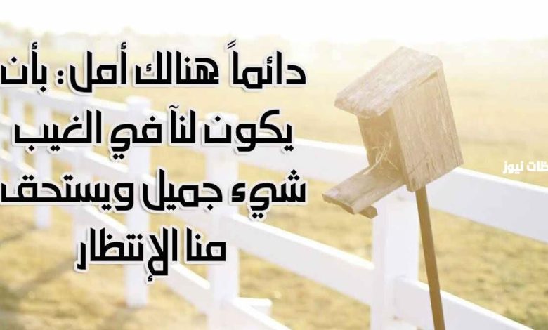 استلهم التفاؤل: 33 عبارة تعزز من إيجابية الحياة