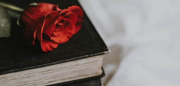 استهل يومك بأجمل رسائل صباحية تعبر عن الحب والشوق في 2026