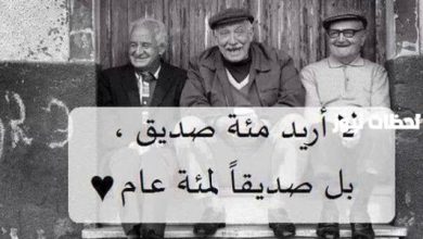 اكتشف أجمل الاقتباسات عن الصداقة وأهمية الأصدقاء الأوفياء في حياتنا