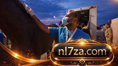 الخدمات الزراعية تمنح 84 خيلاً شهادات عودة بعد انتهاء كأس السعودية 2 الخدمات الزراعية تمنح 84 خيلاً شهادات عودة بعد انتهاء كأس السعودية