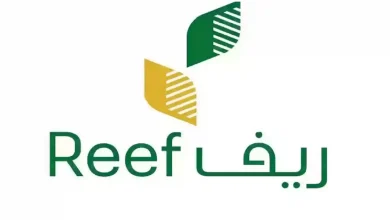 برنامج دعم الريف يكشف 4 نصائح لاختيار أفضل أنواع العسل 2 برنامج دعم الريف يكشف 4 نصائح لاختيار أفضل أنواع العسل