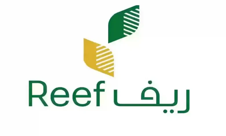 برنامج دعم الريف يكشف 4 نصائح لاختيار أفضل أنواع العسل