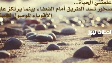 حكم مؤثرة تعكس مشاعر الحزن والأمل في الحياة