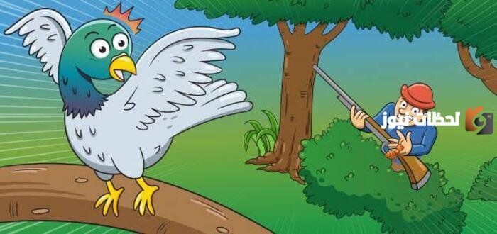 شخصيات قصة الحمامة المطوقة: دروس من بيت العلم في عالم اليوم