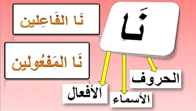 فهم الفرق بين الفاعل والمفعول به: دليل مبسط للغة العربية