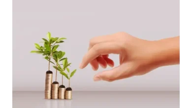 كل ما تحتاج معرفته عن فتح حساب في بنك الإمارات الإسلامي: الشروط ونسبة الفائدة 2 كل ما تحتاج معرفته عن فتح حساب في بنك الإمارات الإسلامي: الشروط ونسبة الفائدة