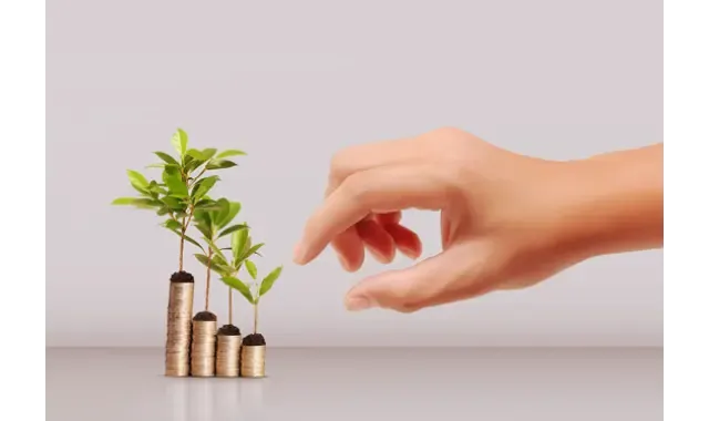 كل ما تحتاج معرفته عن فتح حساب في بنك الإمارات الإسلامي: الشروط ونسبة الفائدة