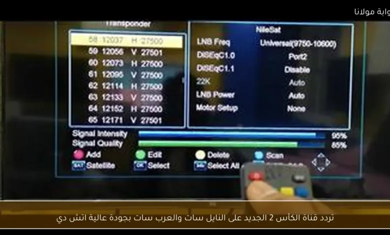 اكتشف التردد الجديد لقناة الكأس 2 على النايل سات والعرب سات بجودة HD 1 اكتشف التردد الجديد لقناة الكأس 2 على النايل سات والعرب سات بجودة HD