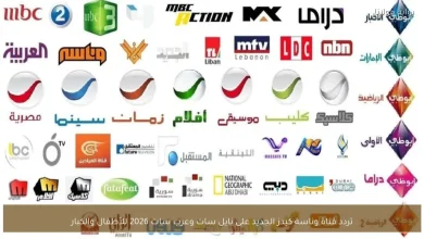 اكتشف تردد قناة وناسة كيدز الجديد على نايل سات وعرب سات لعام 2026: محتوى مميز للأطفال والكبار 3 اكتشف تردد قناة وناسة كيدز الجديد على نايل سات وعرب سات لعام 2026: محتوى مميز للأطفال والكبار