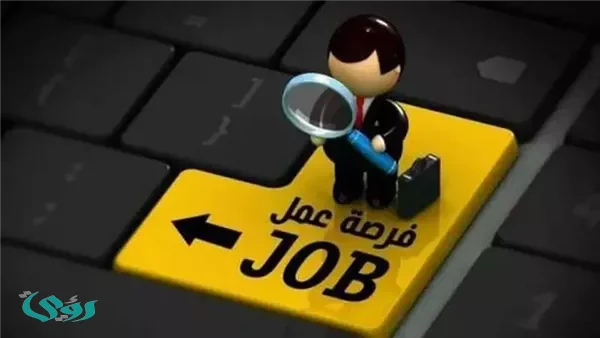 "المصرية لنقل الكهرباء" تُعلن عن وظائف جديدة لحديثي التخرج