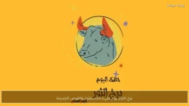 برج الثور: فرص جديدة تعزز الاستقرار اليوم 4 برج الثور: فرص جديدة تعزز الاستقرار اليوم