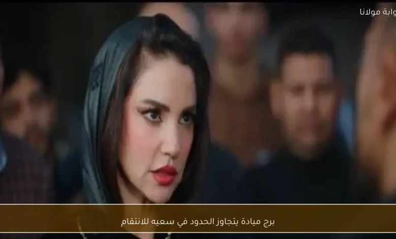 برج ميادة: تصعيد جديد في مساعي الانتقام يتجاوز الحدود