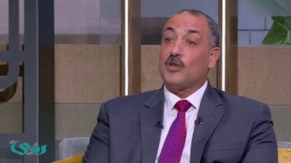 رئيس شعبة الخضروات: الطماطم عادت للاستقرار بعد انتهاء الموسم الزراعي (فيديو)