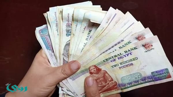 رسوم تصل إلى 150 ألف جنيه.. ما الشروط الجديدة لتشغيل الأجانب في مصر؟