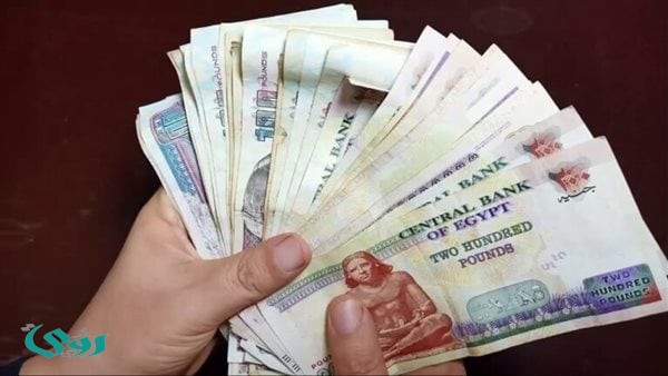 شهادات الادخار في 2026.. لماذا تظل الخيار الأول رغم تغيرات الفائدة؟