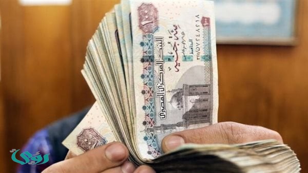 قفزة في الأجور خلال عام.. الدبلوماسي والتأمين الأعلى ونمو أجور الصحة والتعليم