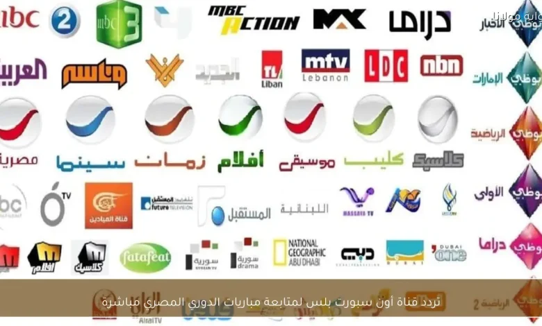 كيفية ضبط تردد قناة أون سبورت بلس لمتابعة مباريات الدوري المصري مباشرة 1 كيفية ضبط تردد قناة أون سبورت بلس لمتابعة مباريات الدوري المصري مباشرة