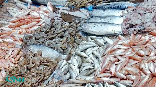 أسعار الأسماك والمأكولات البحرية في الإسكندرية اليوم الجمعة