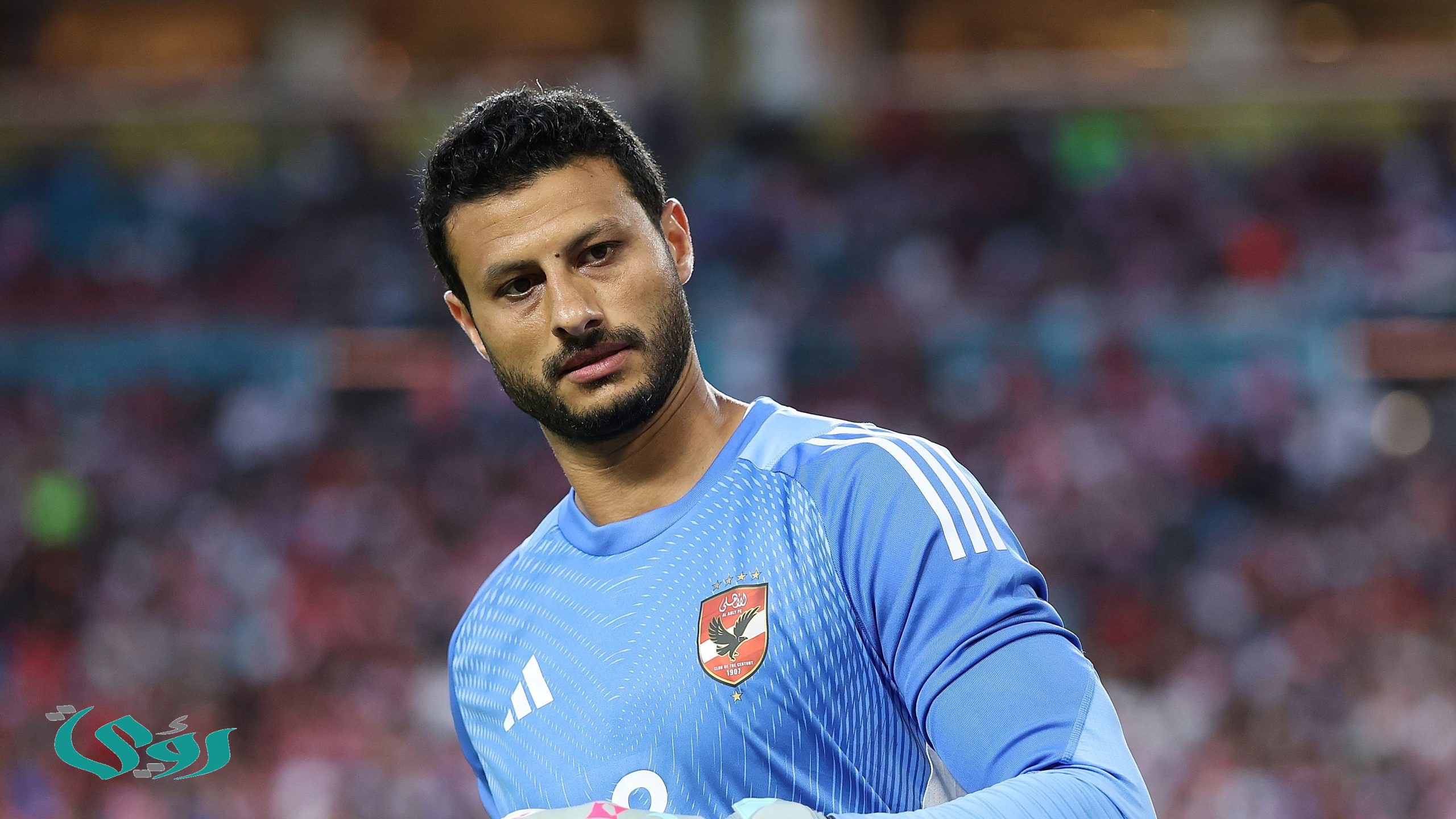 بالفيديو: هل انتهى موسمه؟ الشناوي مهدد بعقوبة قاسية بعد الاعتداء على الحكم
