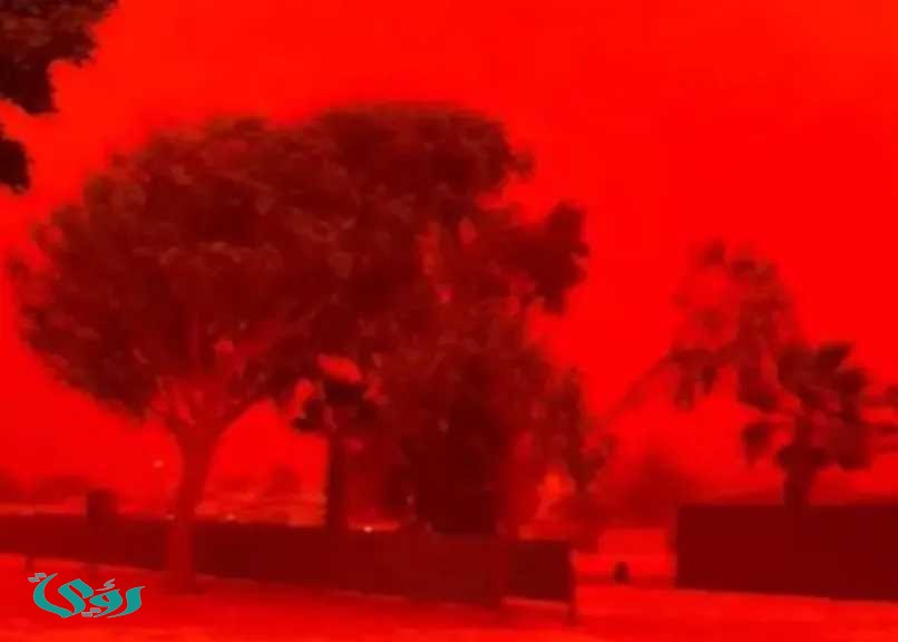 حقيقة وصول العاصفة الدموية إلى مصر.. بيان رسمي من الأرصاد الجوية يحسم الجدل